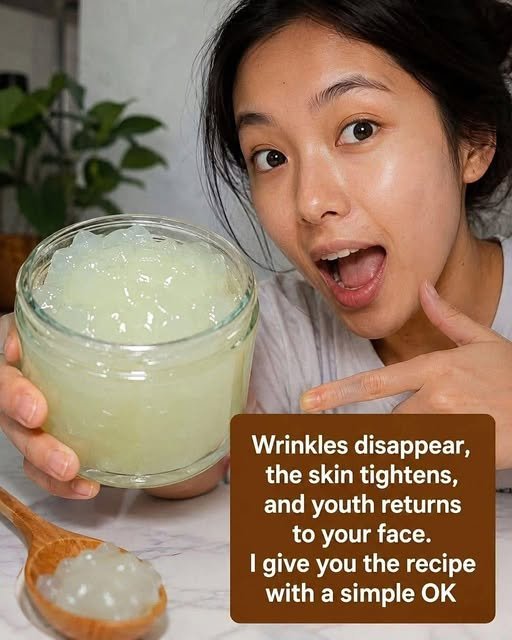 Aloe Vera for Wrinkles: Benefits, Uses, and What the Evidence Really Says 773519774_1559092875691373_8843008344767745339_n