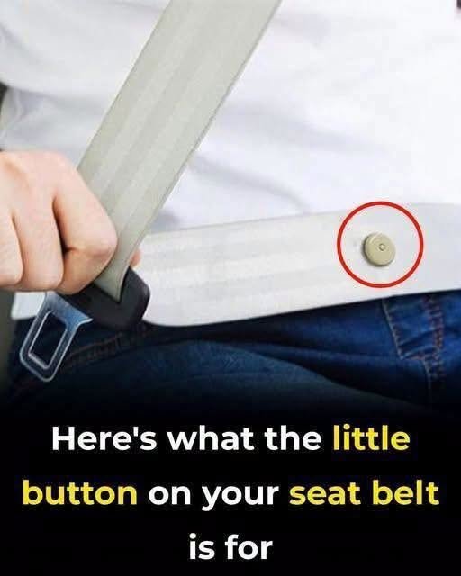 Do You Know What That Little Button on Your Seat Belt Is For? 🚗 829056463_122160427437029175_6458661284359981108_n