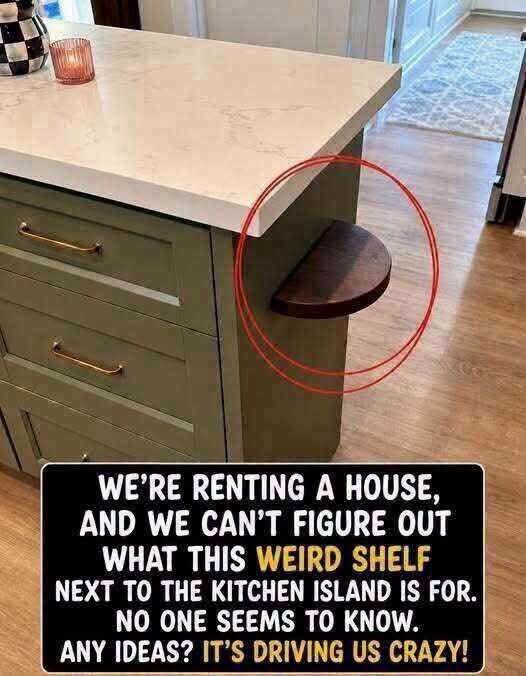 We’re Renting a House, and We Can’t Figure Out What This Weird Shelf Is For… 833863924_4624602947775035_7166800047458332782_n